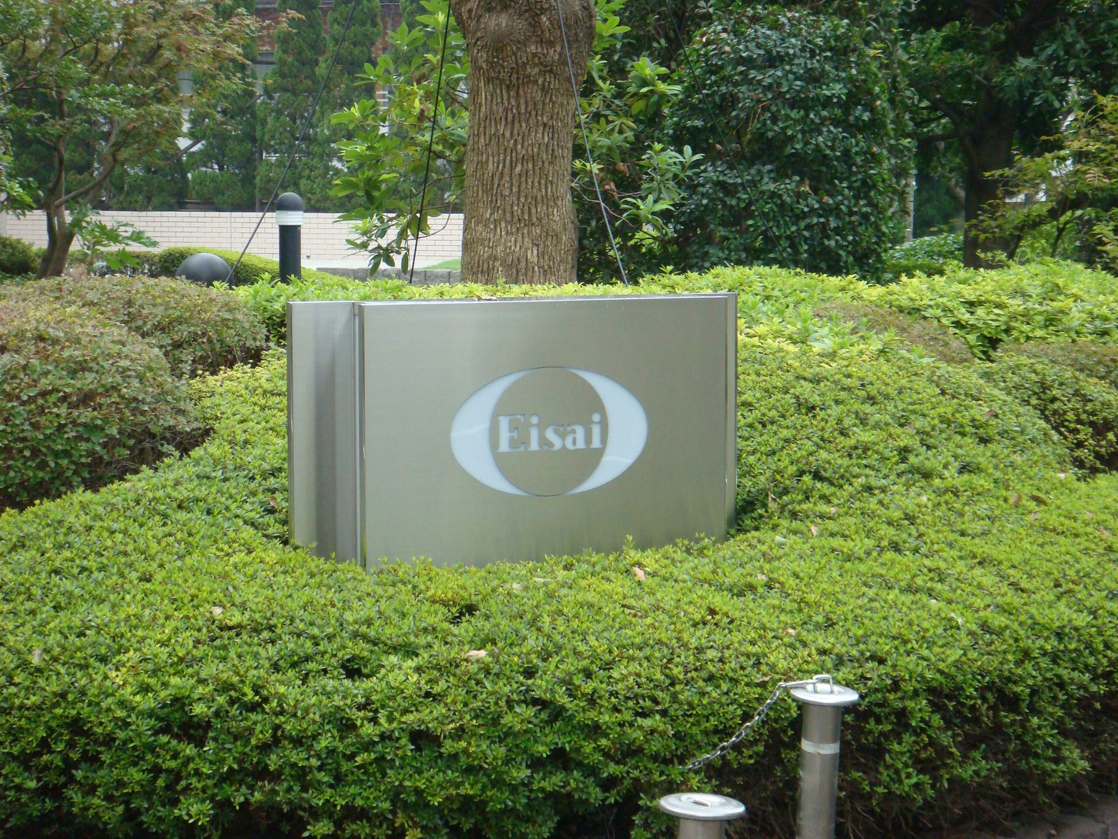 EISAI Pharmaceutical